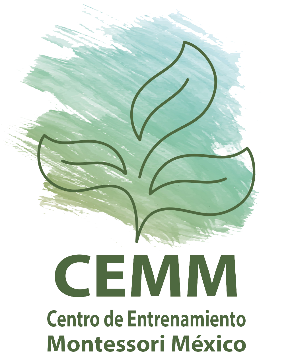 CEMM - Centro de Entrenamiento Montessori MÃ©xico